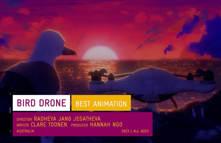 Film Festival Feature Image