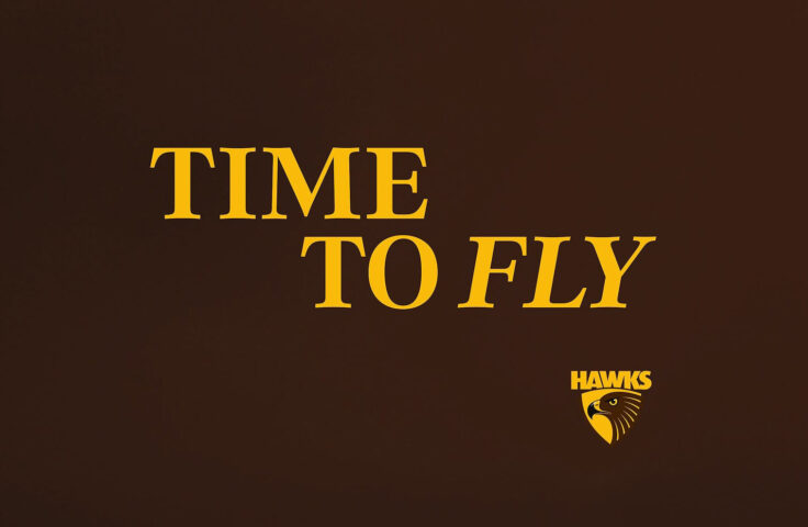 Hawthorn Football Club Image 2